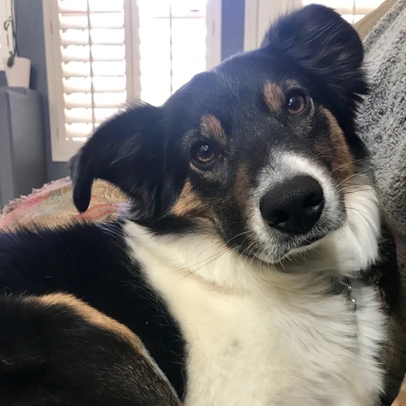 Meet your Posher, Kelsey🌟 - Picture 3 of 3